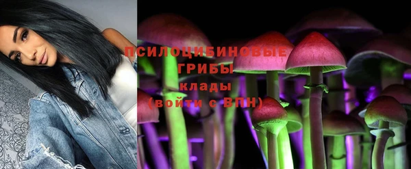 Альфа ПВП Абаза