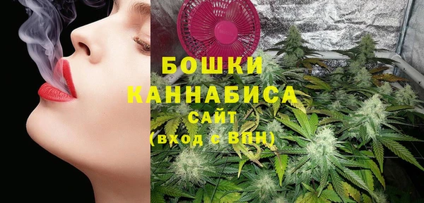 PSILOCYBIN Абдулино