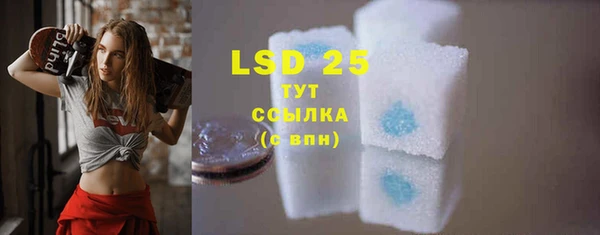 PSILOCYBIN Абдулино