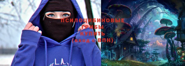 бошки Алексин