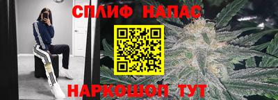 Альфа ПВП Кунгур