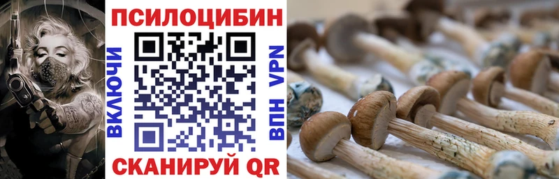 Галлюциногенные грибы Psilocybe  купить наркотик  Казань 