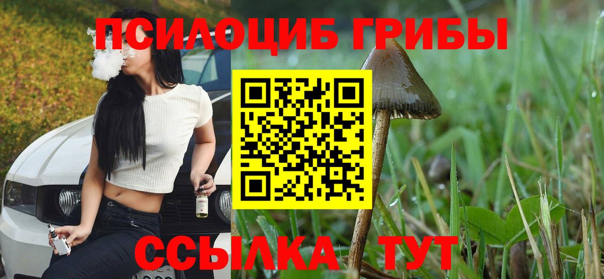 Псилоцибиновые грибы GOLDEN TEACHER Казань